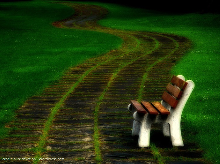 long-journey-back
